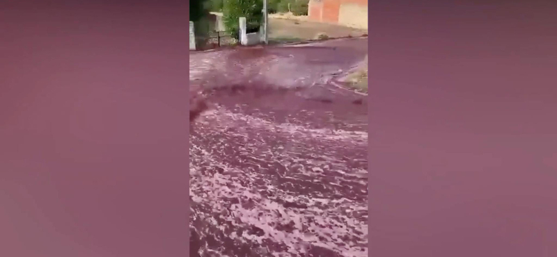 Kétmillió liter vörösbor hömpölygött egy portugál kisváros utcáin - videó