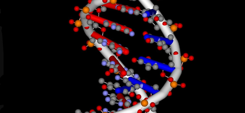 Itt a jövő, már sudokuzni is tud a DNS-számítógép