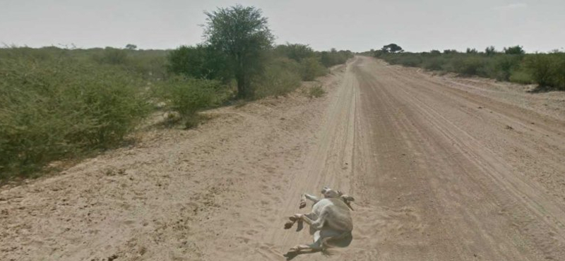 A Google Street View legsokkolóbb képei