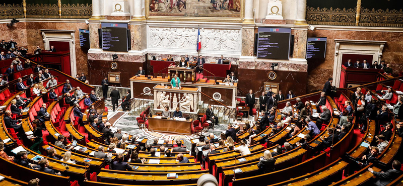 „Menj(enek) vissza Afrikába” - kiabálta egy francia politikus fekete képviselőtársának a parlamentben