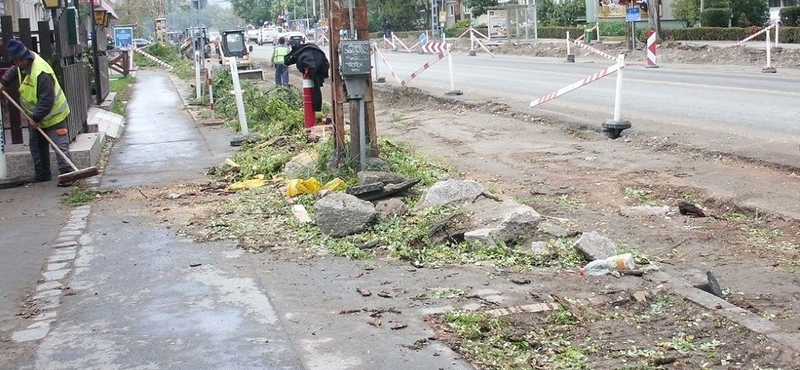 Puccsszerűen letarolták a fákat a XIII. kerületben