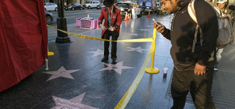 Szétverték Trump csillagát a Hírességek sétányán - videó