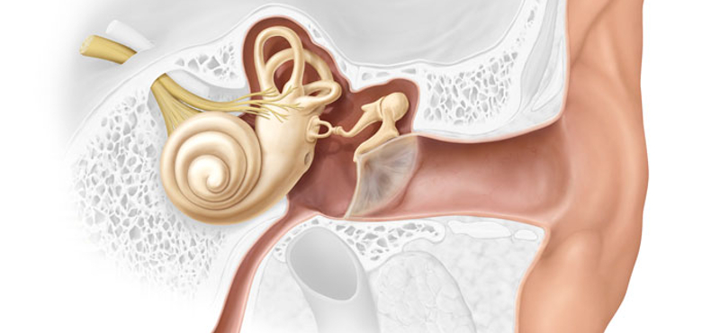 Indul a nagy kísérlet: gyógyítható lehet a süketség