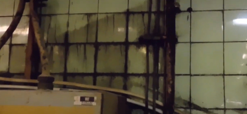 Gyomorforgató állapotok uralkodtak a csongrádi sütőüzemben, bezáratta a Nébih – videó