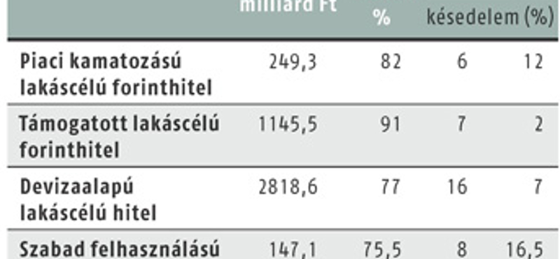 Széchenyi Hitelszövetség: rosszul bánnak a hitelesekkel