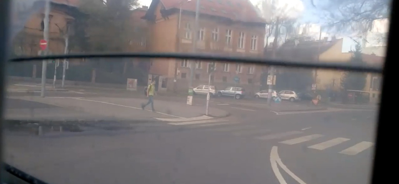 Világszenzáció a Volánbusznál: lassan akvárium is lehetne a busz ablaka – videó