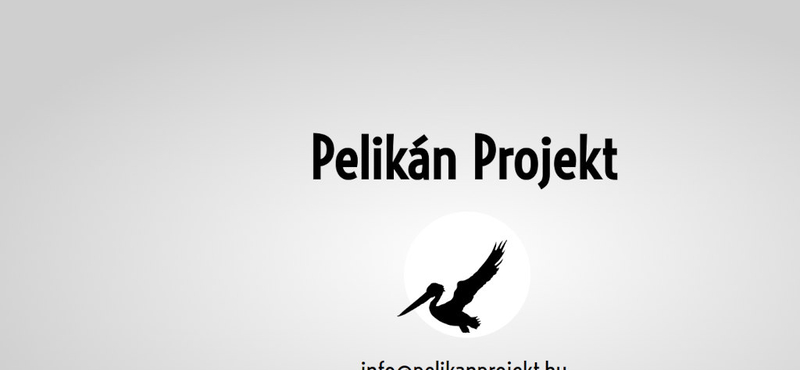 Pelikán Projekt néven alapított céget Mészáros Zsófia, a 444 volt vezető szerkesztője
