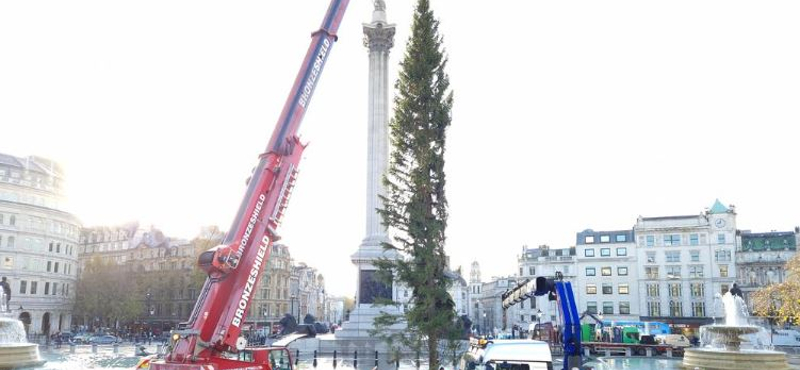 Hangos röhögés, megrökönyödés: leginkább ez a reakció London karácsonyfájára