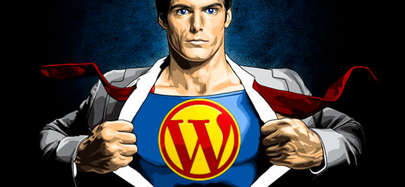 10 éves a WordPress