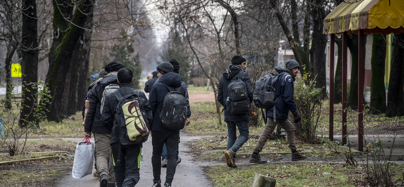 Migránsbandák lövöldöztek egymásra a szerb-magyar határ közelében, többen meghaltak