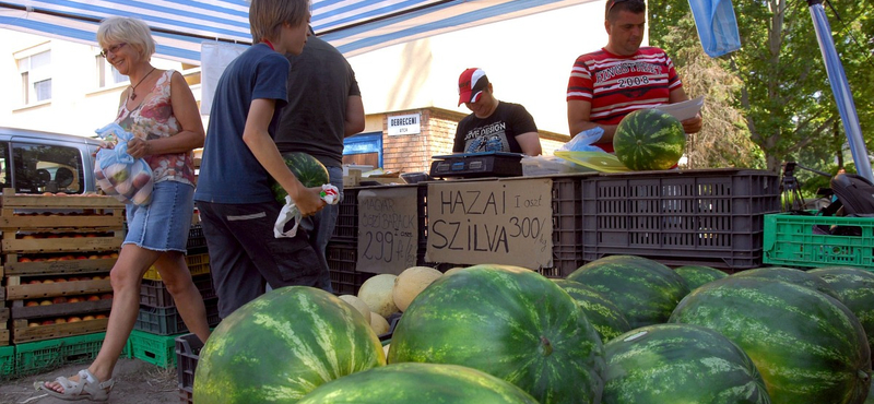 Mától él a dinnyéket hibátlan és hibás osztályba soroló rendelet