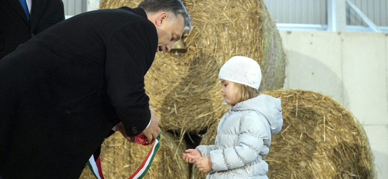 Nem engedték be az RTL-t Orbán malacátadására