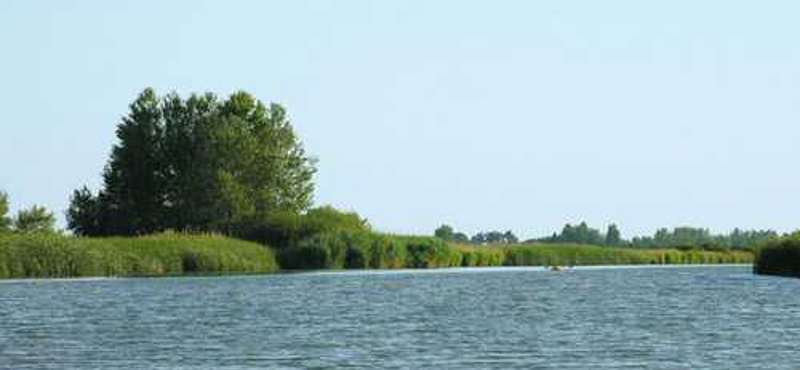 Zöld kalandok a Tisza-tónál