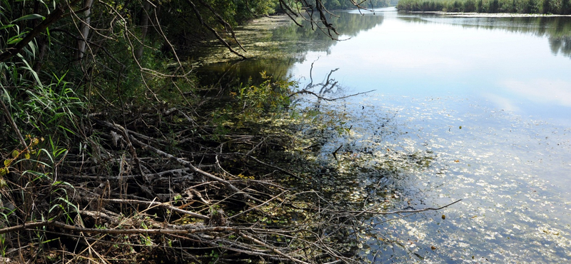 Illegális terepjáróversennyel zúztak szét több Natura 2000-es területet