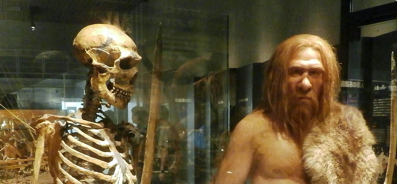 Ma is hatnak a vérfertőző neandervölgyiek gémutációi