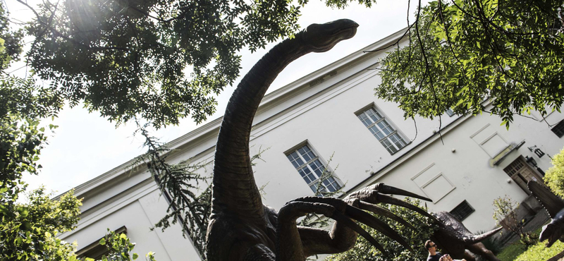 Döntött a kormány, tényleg elviszik Debrecenbe a Természettudományi Múzeumot