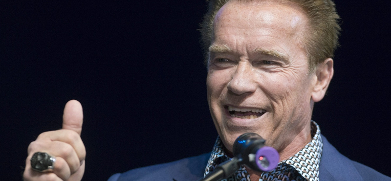 Amerikai tüntetések: Arnold Schwarzeneggernek is van egy tanácsa 