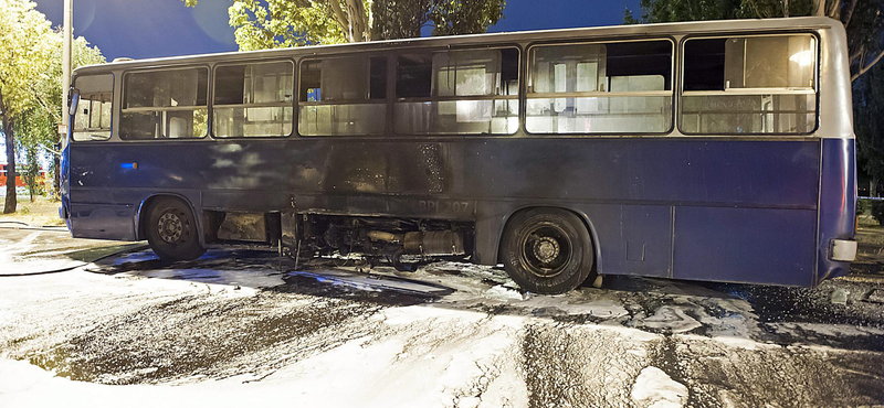 Örüljön, hogy nem ült ezen a buszon!