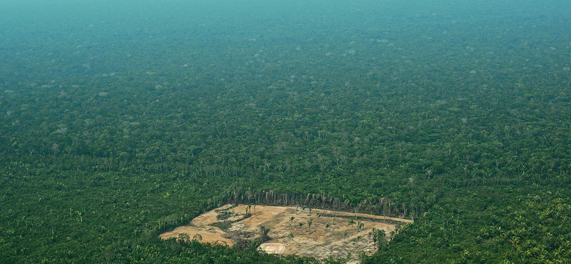 Aprócska, de nagyszerű hír jött a lángoló Amazonasból