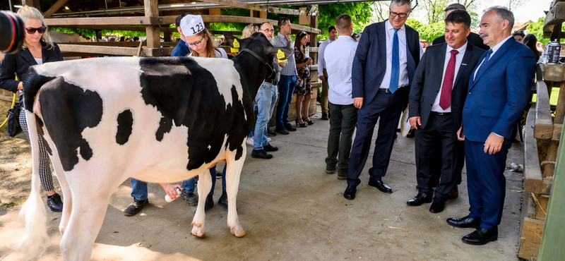 Civilek azt szeretnék, ha az állattartás semmiféle támogatást nem kapna az Uniótól