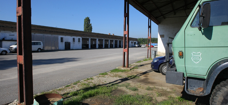 Sorban kapják el az illegális határátlépőket a Dél-Alföldön