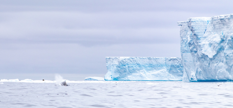 Ömlött az édesvíz az óceánba a gigantikus A68 jéghegyről, naponta több mint 1,5 milliárd tonna