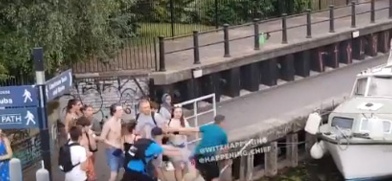 Hattyút próbáltak rugdosni londoni fiatalok, majd vízbe lökték a férfit, aki ezt szóvá tette (videó)