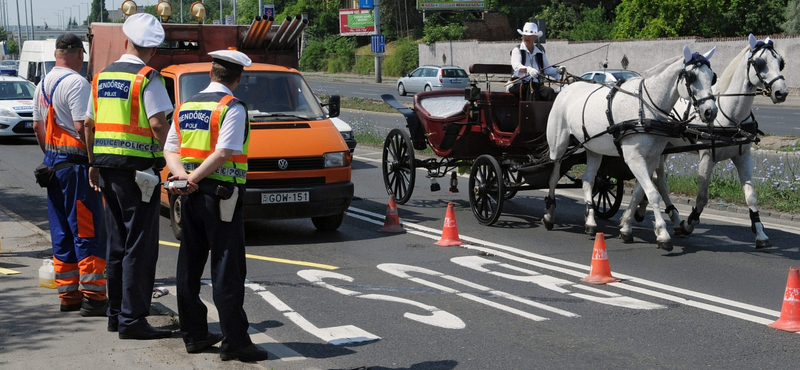 VEKE: a dugót az autók okozzák, nem a buszsávok