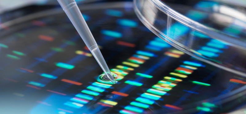 Egy német városban 900 embertől kértek DNS-mintát