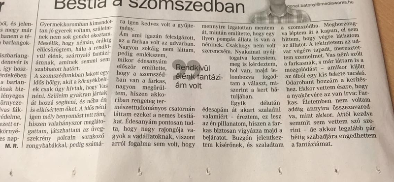 Kínos plágiumügybe keveredett a kormánymédia egyik lapja