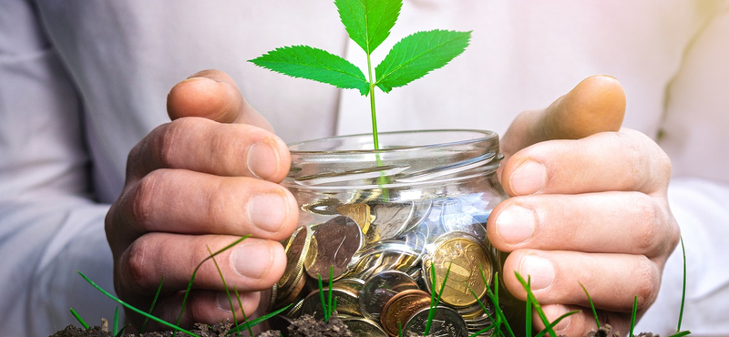 Eljött a zöld befektetések ideje: de mik is azok az ESG-alapok?