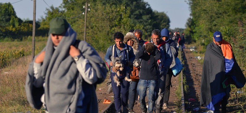 Káosz Röszkénél, migránsok az M5-ön - összefoglaló