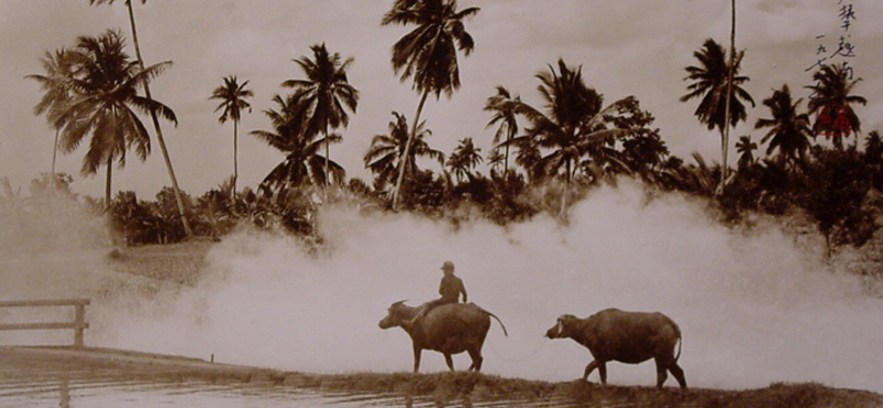 Don Hong-Oai fotórealista tintarajzai