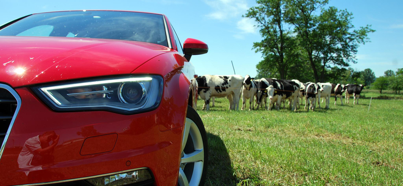 Betyár lett a magyar Audi – vezettük