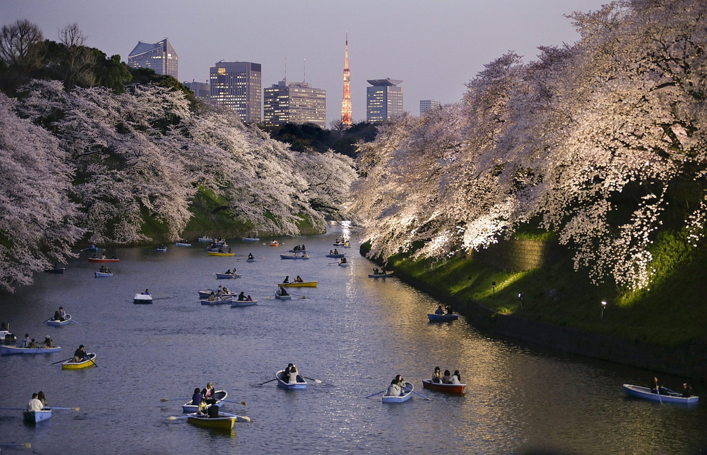 epa.15.03.30. - Tokió, Japán: Csónakázók virágba borult cseresznyefaágak alatt a tokiói Csidorigafucsi Parkban - évképei, cseresznyefa