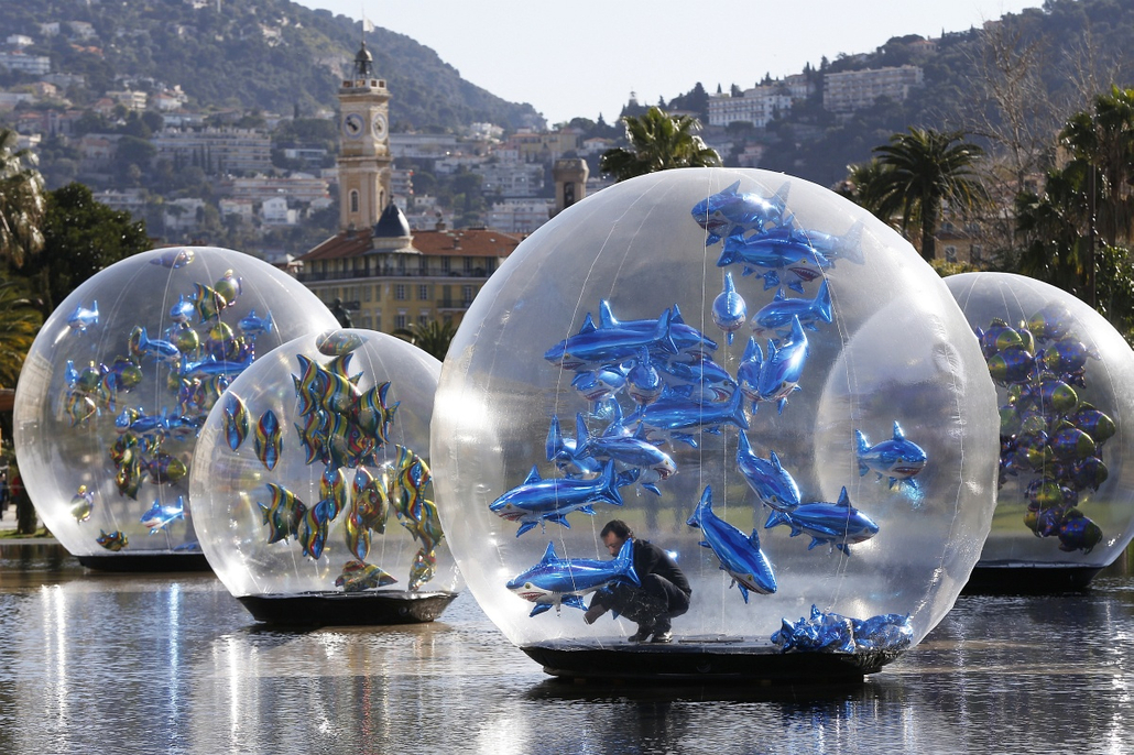 afp. hét képe - 2015.04.01. Franciaország, Nizza - cápa, lufik - A man installs shark-shaped balloons enclosed in a plastic globe in a water fountain in Nice on April 1, 2015.