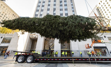 Megérkezett a Rockefeller Center elé a 12 tonnás fenyőfa - képek