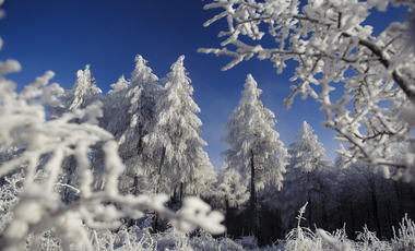 Adventi kalendárium – december 1.