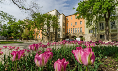 Még mindig vizsgálják a pécsi egyetemen, hogy varázsolt-e Schadl György vizsgát bárkinek