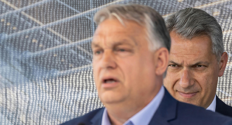 Papp Réka Kinga: Mi történne, ha Orbán átadná a stafétát, és elvonulna a zebráit vakargatni? Papp Réka Kinga: Mi történne, ha Orbán átadná a stafétát, és elvonulna a zebráit vakargatni?