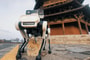 Hatlábú robotkutya védi Kínában az 1056-ban épült pagodát – videó
