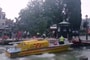 Turistákra dőlt egy fa Velencében